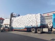 把握機(jī)遇、鉚足干勁、承勢(shì)而上